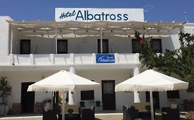 Albatross